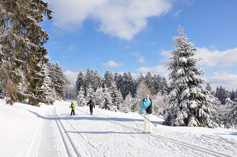 Winter im Thüringer Wald