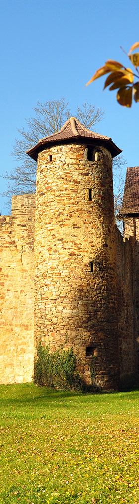 Burg Bibra