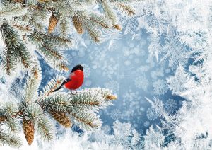 Vogel auf verschneitem Baum