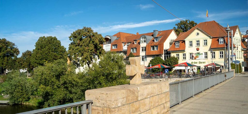 Grüne Tanne in Wenigenjena