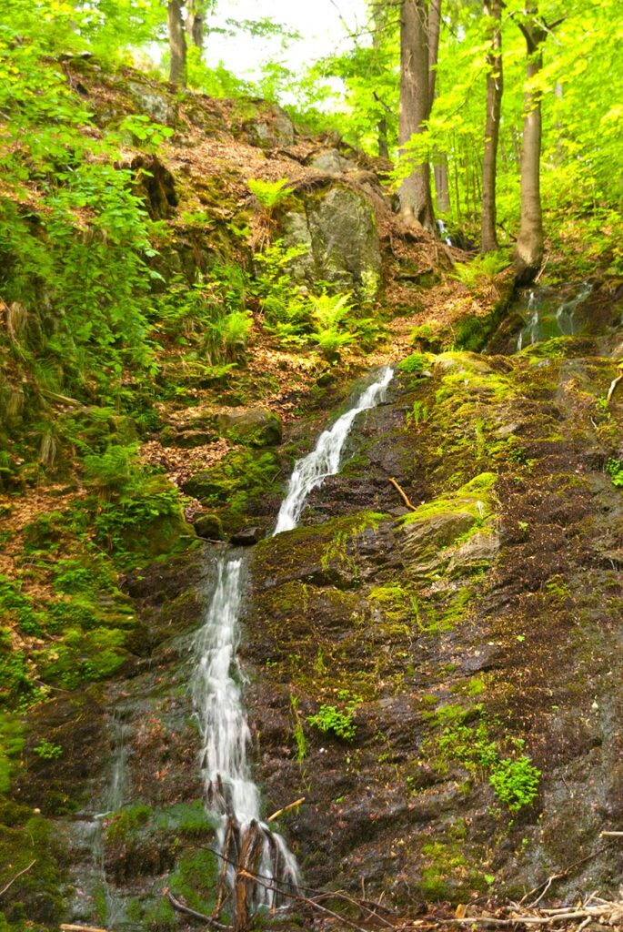 Spitterfall