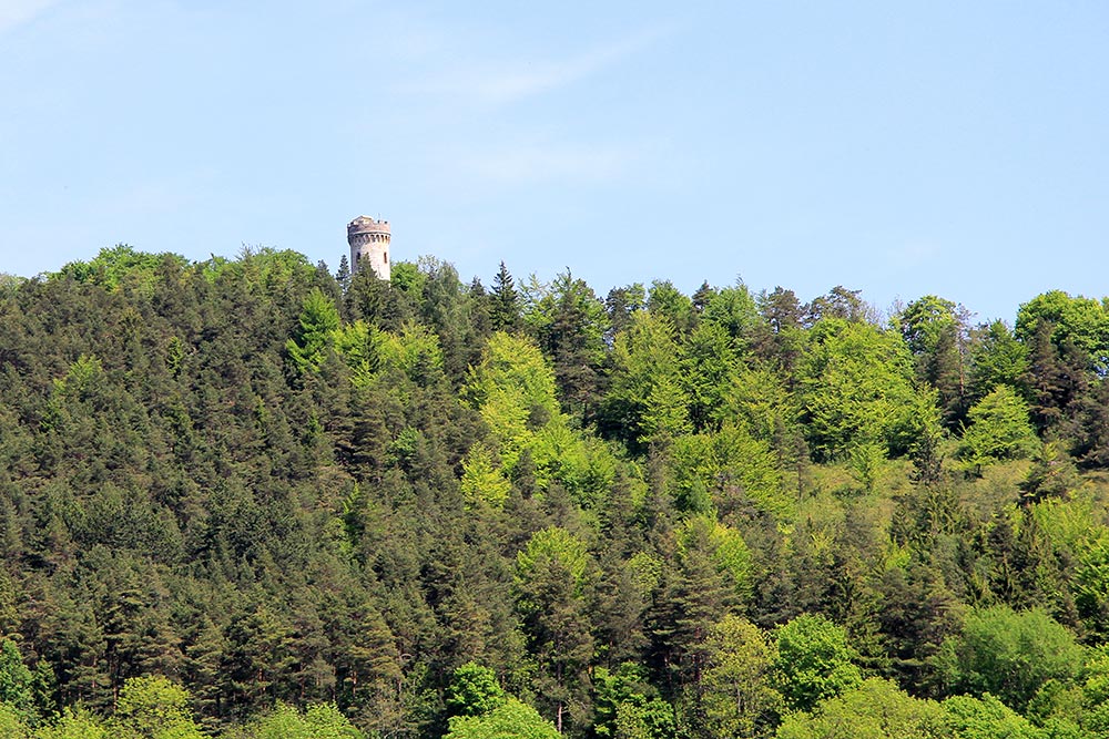 Blick zum Luisenturm