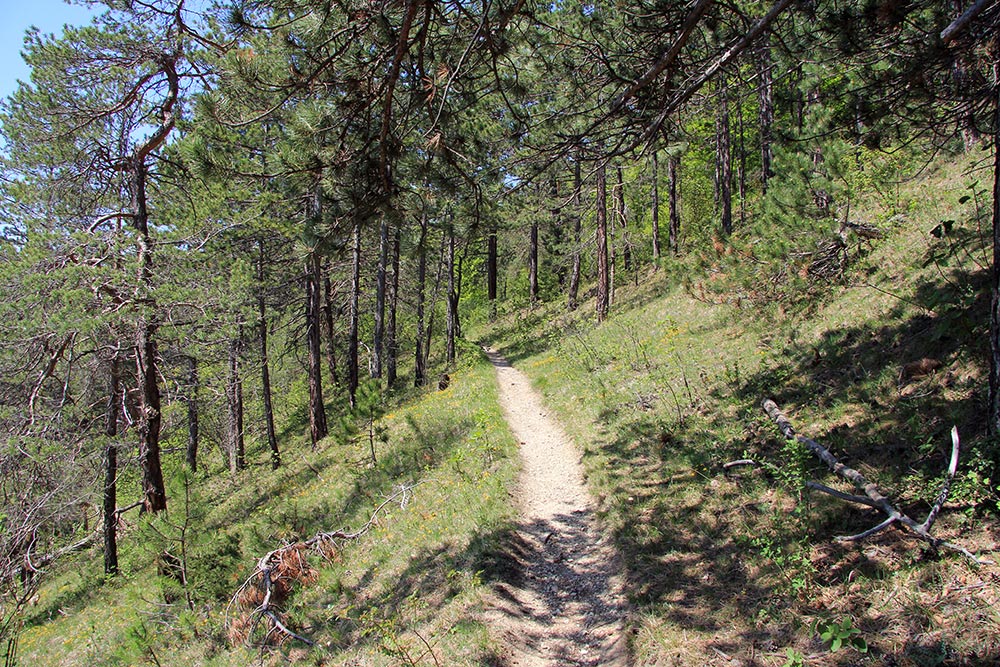 Wanderung Großkochberg