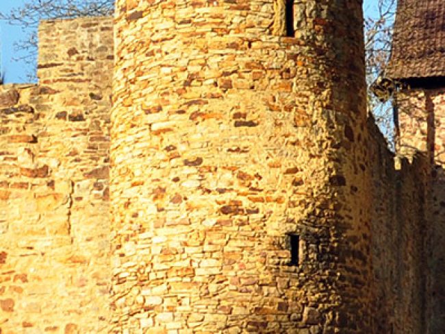 Burg Bibra