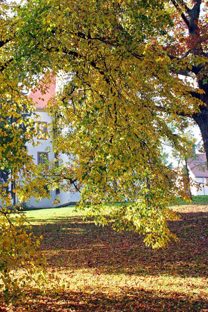 Schloss Christiansburg