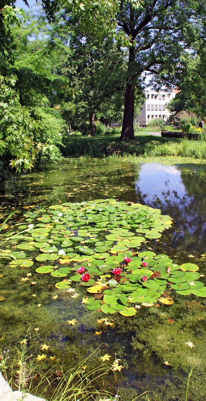 Botanischer Garten Jena Thüringer Impressionen