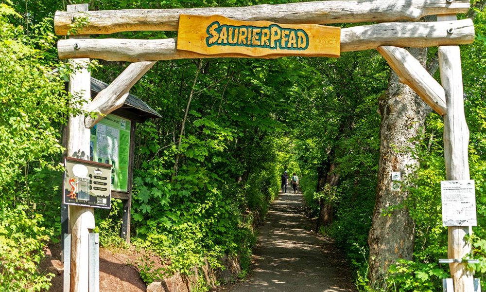 Der Saurierpfad zum Jenzig