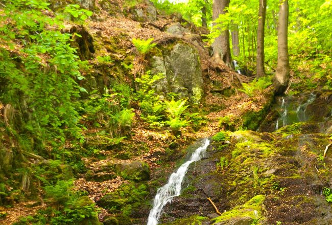 Spitterfall Tambach-Dietharz