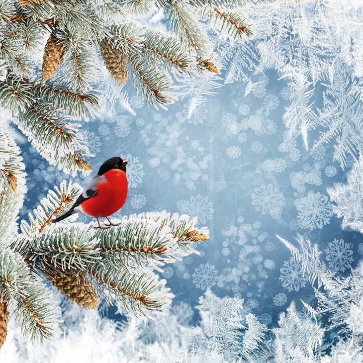 Lichtergarten im Botanischen Garten