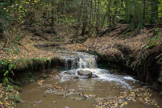 Geraer Wasserfall in Thüringen