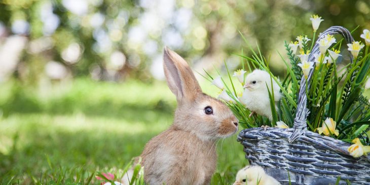 Osterfreuden im Rittergut Endschütz