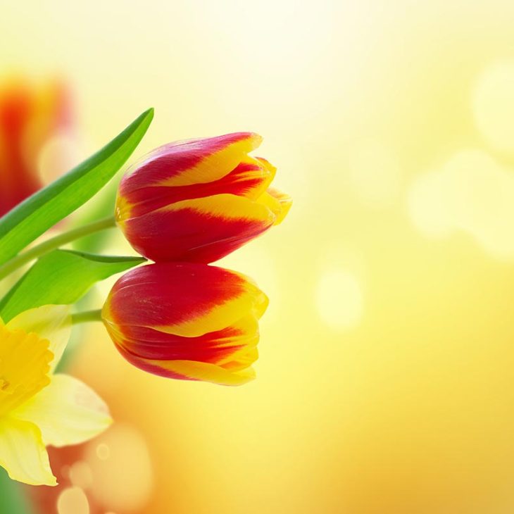 Ostern auf Burg Ohrdruf