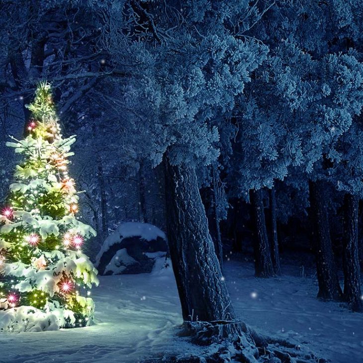 Mittelalterlicher Weihnachtsmarkt auf Burg Hanstein