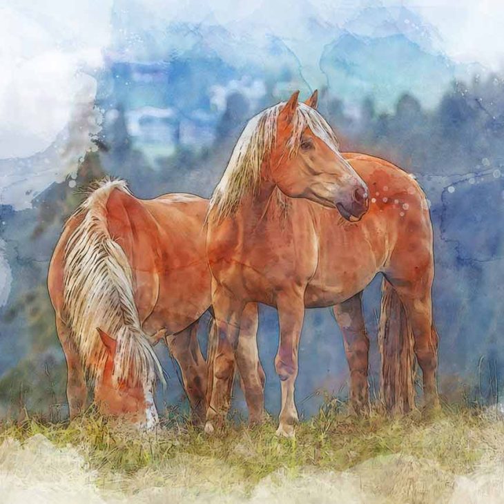 Thüringer Pferdemarkt