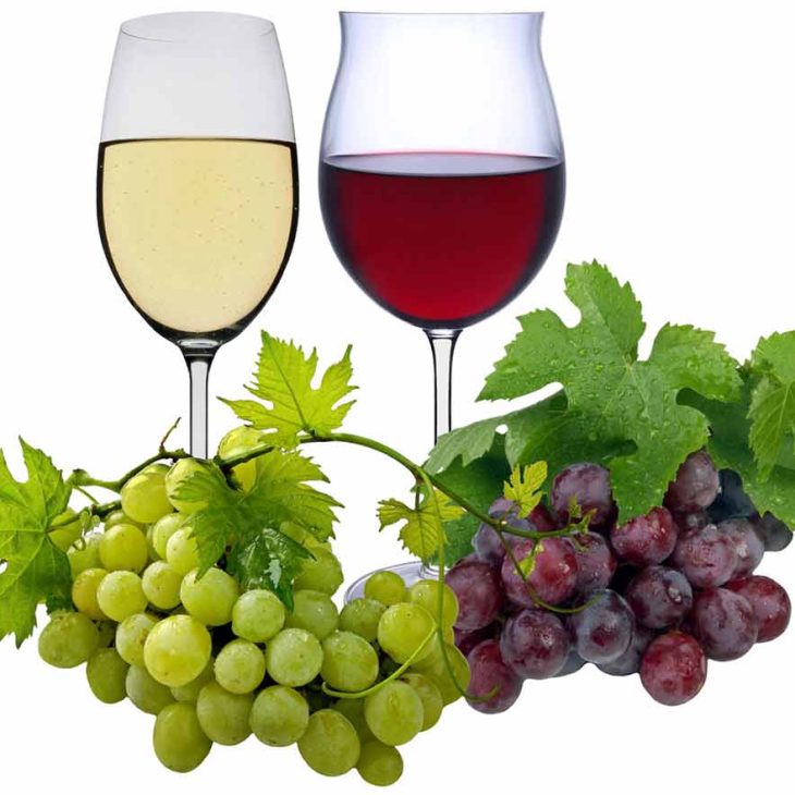 Goethe Weinfest Weimar