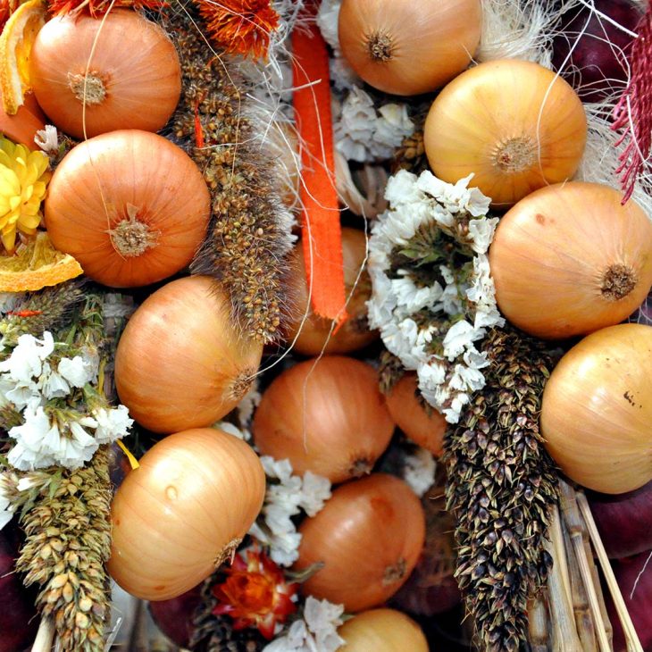 Apoldaer Zwiebelmarkt