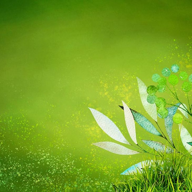 Ostermarkt in Sondershausen