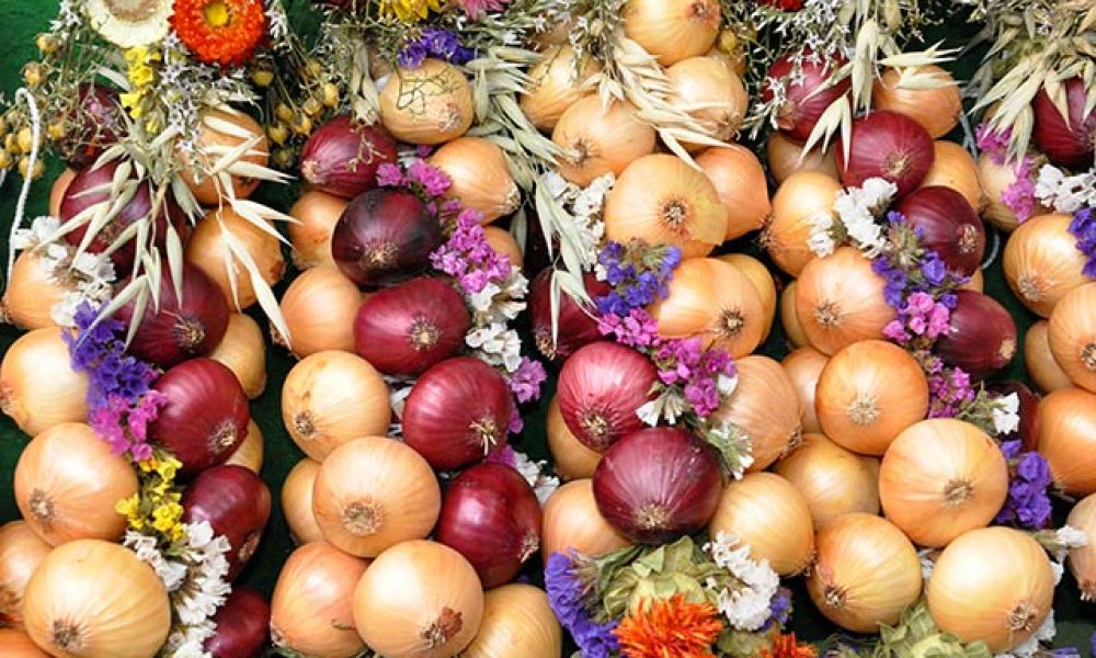 Apoldaer Zwiebelmarkt 2014