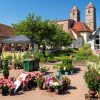 Der Gartenmarkt Kloster Veßra Juni 2026