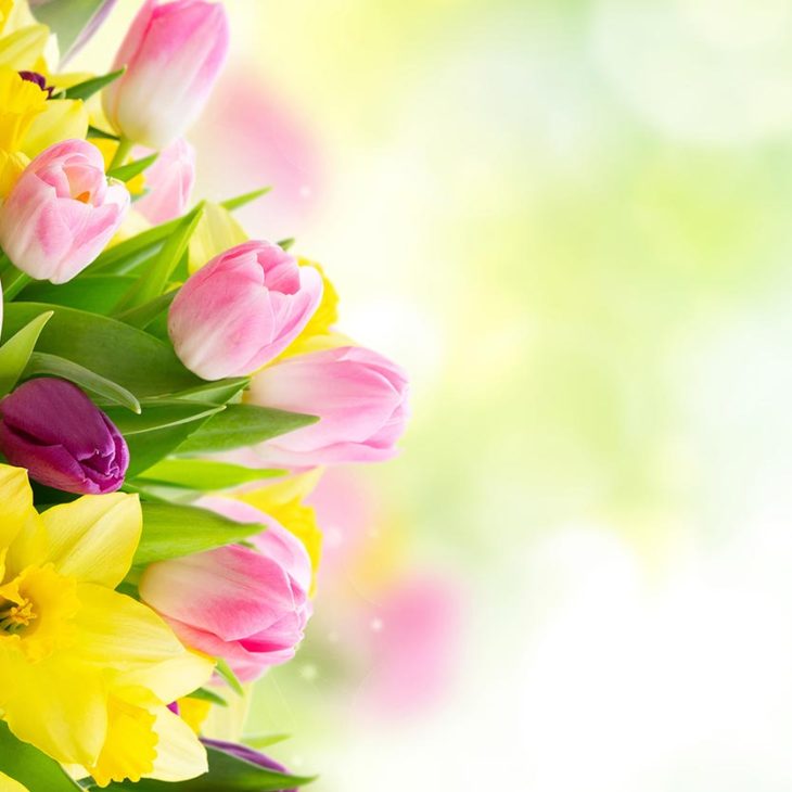 Suhler Frühling