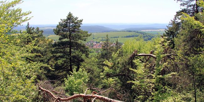 Wanderungen um Großkochberg
