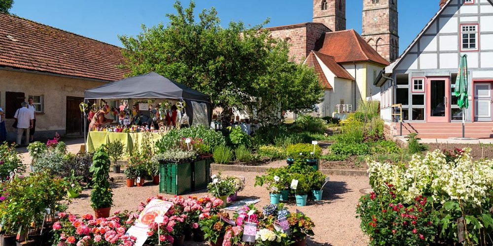 Der Gartenmarkt Kloster Veßra Juni 2026