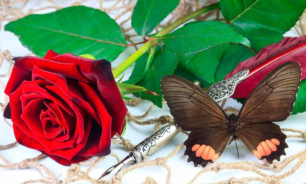 Rosen zum Muttertag