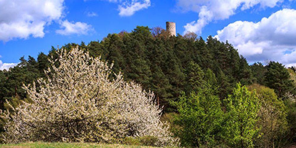 Frühlingsgefühle in alten Gemäuern